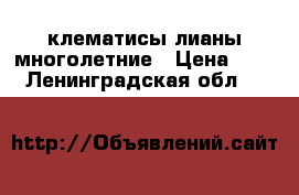 клематисы лианы многолетние › Цена ­ 250 - Ленинградская обл.  »    